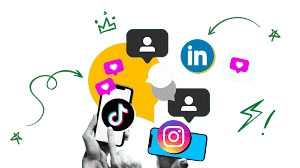 image - Voctos SEO Egypt
