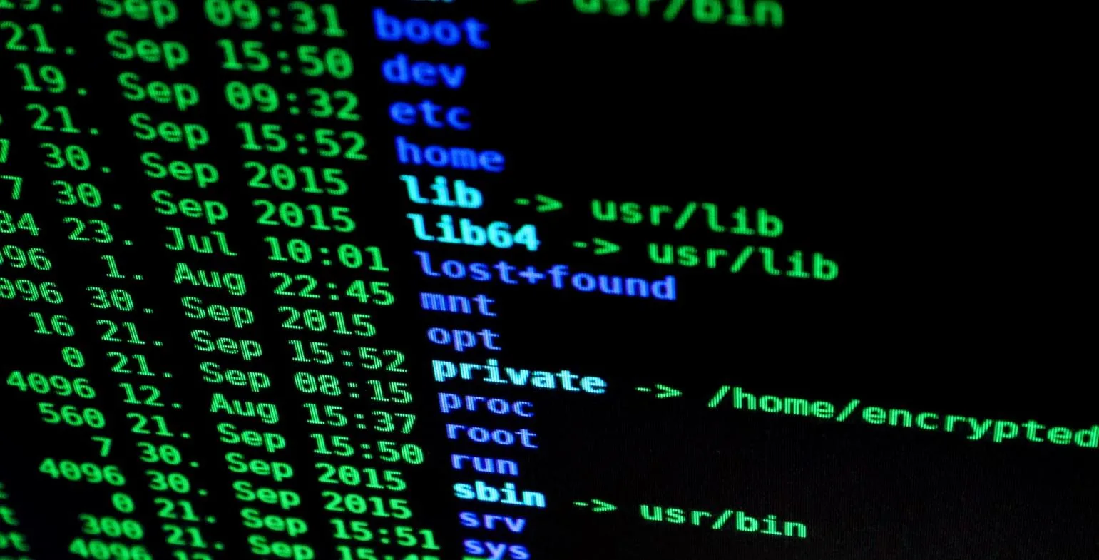 Green terminal screen showing a directory and file listing on black
